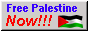 Free Palestine button